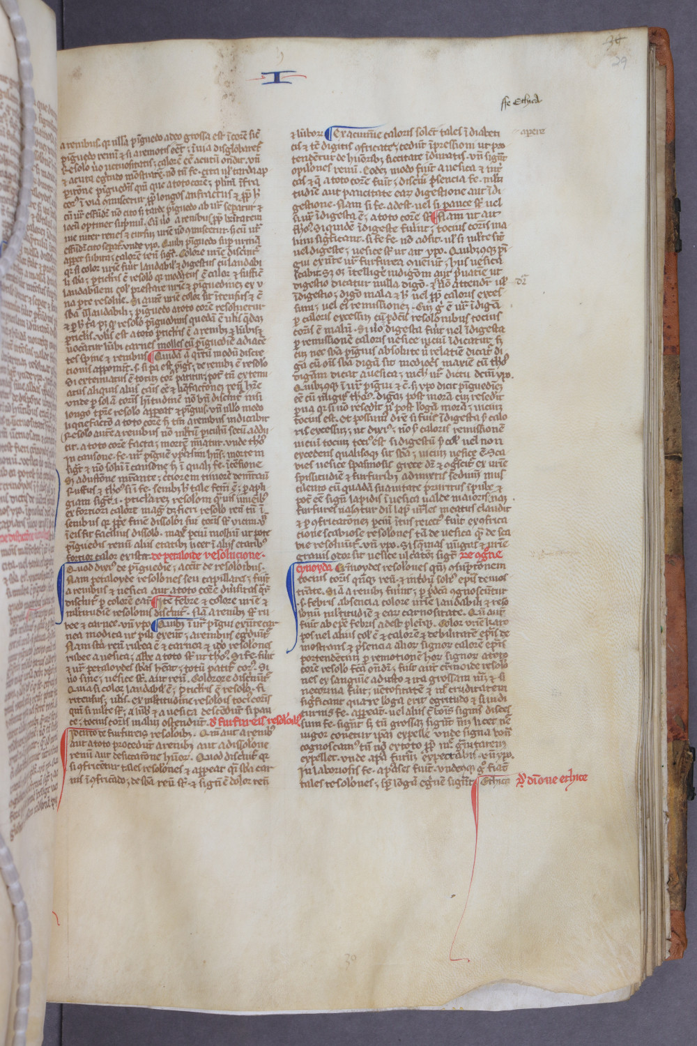 Folio 29 recto